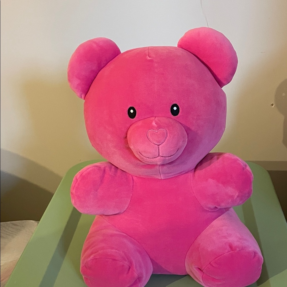 Pink Plush Teddy Bear